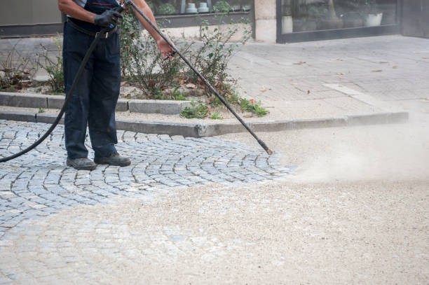 Best Spring Cleaning  in Sunman, IN